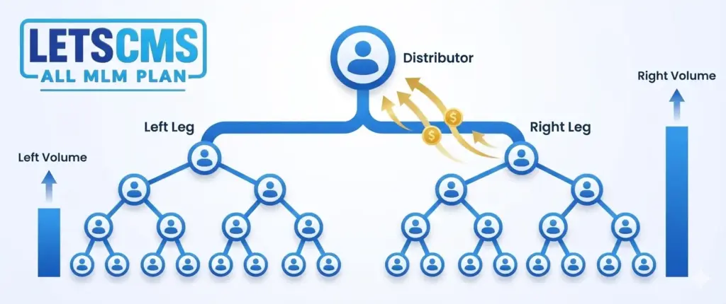 Binary compensation plan structure showing left and right legs in MLM network marketing