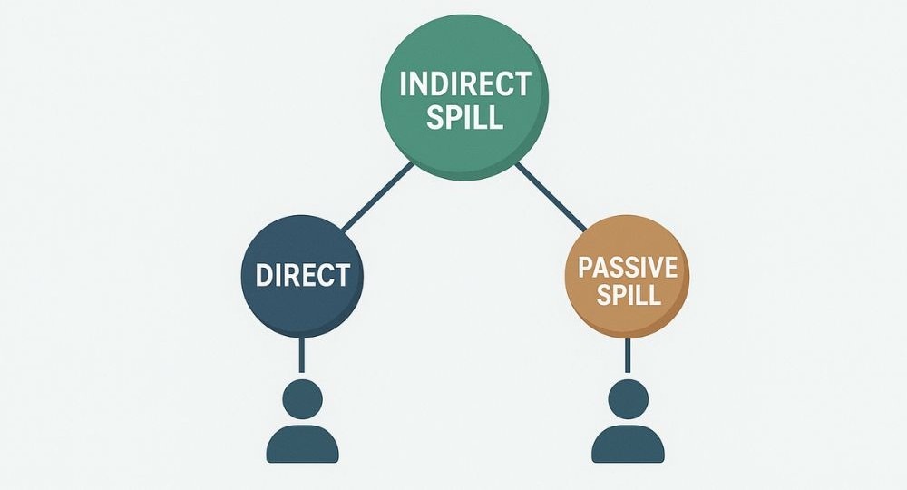 Types of Spillovers in the Binary MLM Plan